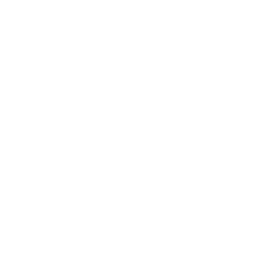 思い THINK